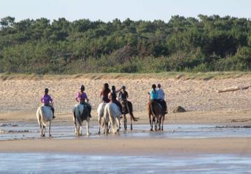 Balade plage équitation ile d'oléron