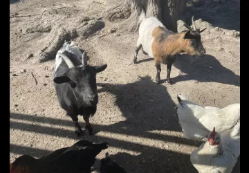 Aqua 3 Masses_Saint-Pierre-d'Oléron