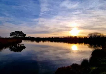 Camping les Bris - Vacances Passion_Saint-Trojan-les-Bains