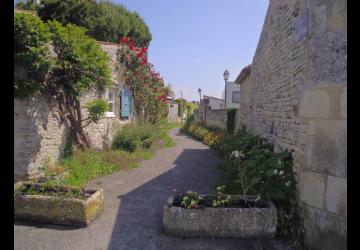 Balade les jeudis des villages - Sauzelle