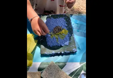 Atelier en famille : Du papier qui pousse_Le Grand-Village-Plage