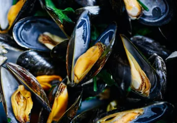 Eclade de Moules_Nieulle-sur-Seudre