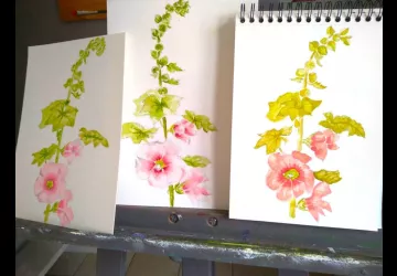 Roses trémières Aquarelle