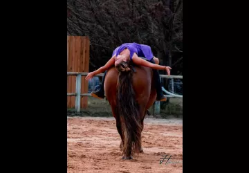 Les Écuries De Laguivari