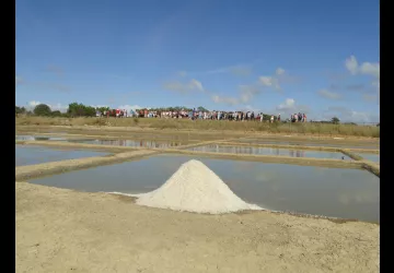 Journées du Patrimoine au Port des Salines