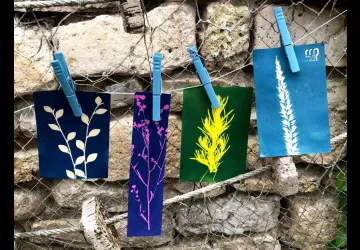 Atelier 7-12 ans : Magie bleue (cyanotype)_Le Grand-Village-Plage
