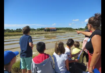Atelier 7-12 ans "Le trésor du saunier" au Port des Salines_Le Grand-Village-Plage