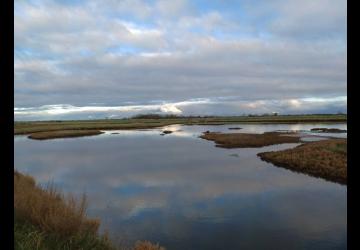 Reserve-Moeze-Oleron-LPO-sentiers