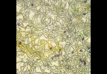 Les chemins de sable des...