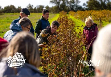 Fête des Vendanges et du Terroir_Saint-Denis-d'Oléron