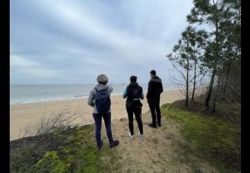 Chemin d'Oléron