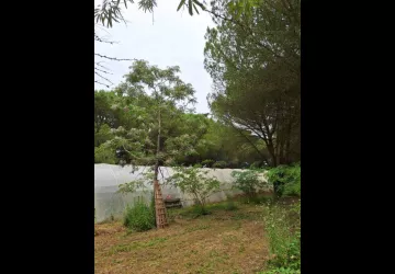 Les jardins de l'âme cham