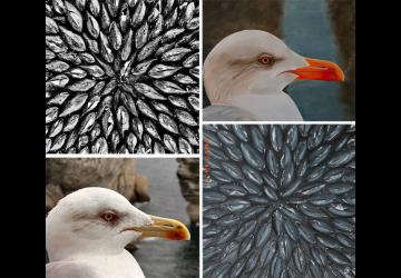 EXPOSITION Caroline Watrigant et Emma Tourneur