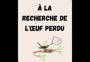 photo jeu