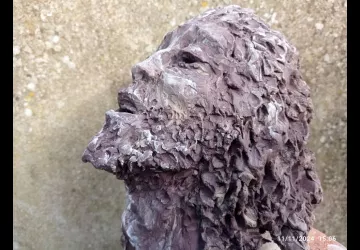 Exposition d'art : Terres d'expression_Marennes-Hiers-Brouage
