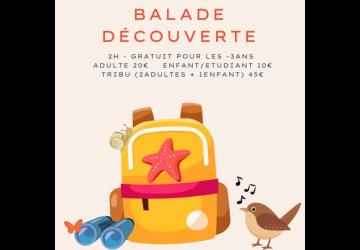 Balade découverte