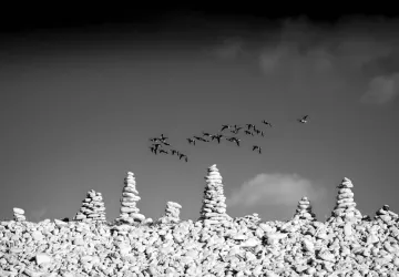 Exposition de photographie