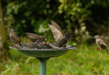 Exposition de photographie