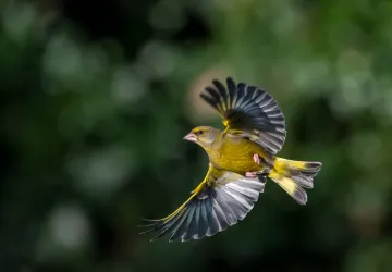 Exposition de photographie