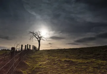 Exposition de photographie