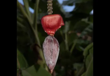 Exposition de photographie