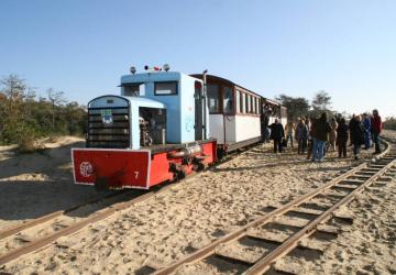 Train des Découvertes au P'tit Train de Saint-Trojan