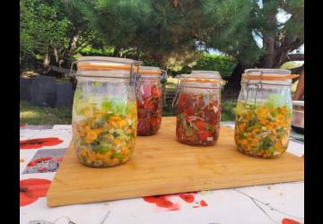 Lacto légumes