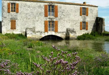 Découverte sensorielle du marais au Moulin des Loges_Saint-Just-Luzac