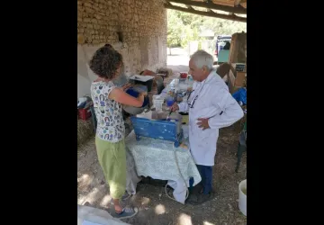 Stage éco-habitat : peintures naturelles, enduits minéraux_Le Grand-Village-Plage