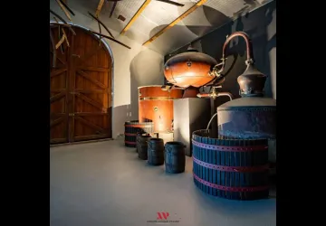 Visite du vignoble Maxime Pinard_La Brée-les-Bains