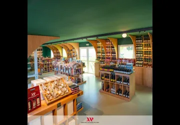 Visite du vignoble Maxime Pinard_La Brée-les-Bains