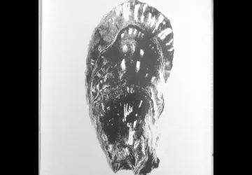 Raconte moi l'huître - Maija Salmi_Dolus-d'Oléron