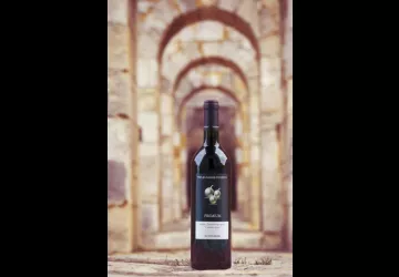 Odile Motelet Photographe