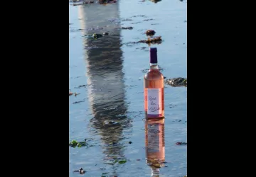 Odile Motelet Photographe