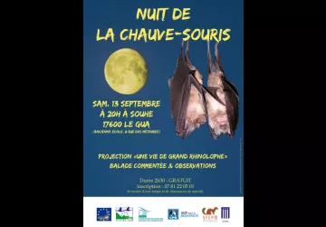 Nuit de la Chauve-souris