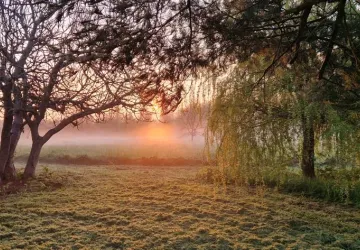 Domaine La Cabane_Saint-Pierre-d'Oléron