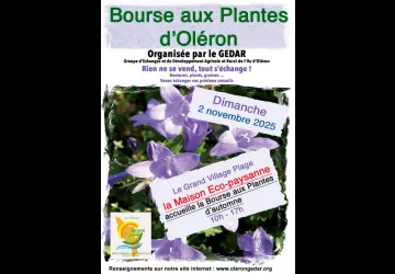 Bourse aux plantes_Le Grand-Village-Plage
