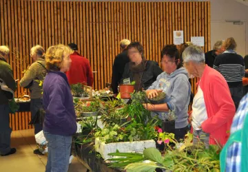 Bourse aux plantes_Le Grand-Village-Plage