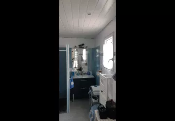 Maison roses trèmières