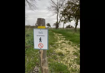 Parking au pied du pont d'Oléron_Le Château-d'Oléron