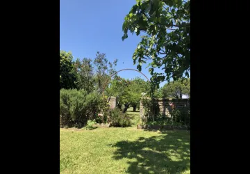 Meublée de Mr et Mme  Dervieux : Paulette_La Brée-les-Bains