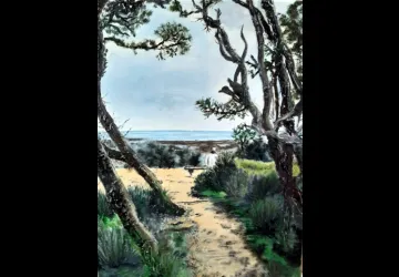 Exposition Palettes Dolusiennes_Saint-Trojan-les-Bains