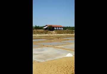 Chasse au trésor " A la sau" au Port des Salines_Le Grand-Village-Plage