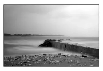 Photo patrice Labeque