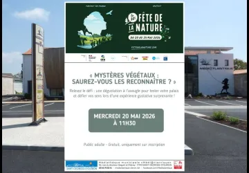 Mystères Végétaux : saurez-vous les reconnaître ?_Saint-Georges-d'Oléron