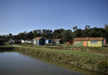 Association du Site Ostréicole et Naturel de Fort-Royer