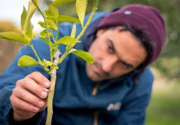Visite et atelier aux jardins de l'APO_Saint-Trojan-les-Bains