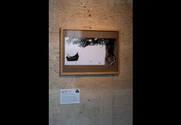 Micro Folie - Festival autour du Douanier Rousseau_Marennes-Hiers-Brouage