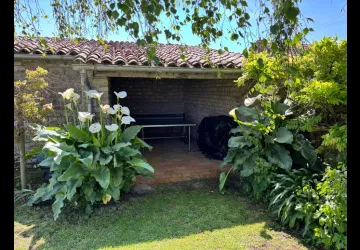 Le Clos des Agapanthes