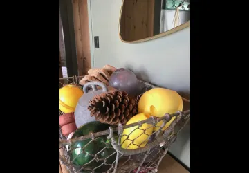 Maison Mimosa_Saint-Pierre-d'Oléron